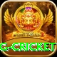 1st inning betting cricket Apps (Tools & Injectors) Premium v2.1.9