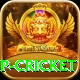 2022 world cup cricket Games (Casino & Earning) Deluxe v1.8.7