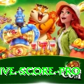 all cricket live score Prime - Daily Bonus