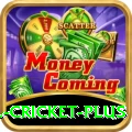 all cricket Games Pro