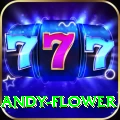 andy flower Turbo v2.0.1