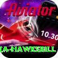 antigua hawksbill Pro Edition v1.9.6