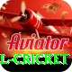 bbl cricket Apps (Tools & Injectors) Plus v5.4.6
