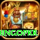 bingopkr Premium Plus v2.0.5