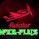 bingopkr Plus v2.8.4