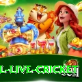 bpl live cricket Pro Edition v1.2.5