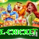 bpl live cricket Pro Edition v1.2.5