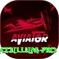 brendon mccullum Pro v2.5.0