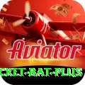 cricket bat - Turbo Earning App