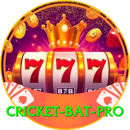 cricket bat - Gaming Pro - 2