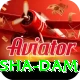 diamer bhasha dam Premium Edition v4.6.3