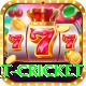 early payout cricket Turbo Pro v4.4.8