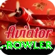economy rate bowler Elite Pro v3.9.2