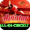 fastest ball in cricket Deluxe Pro v1.4.2