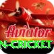 fastest ball in cricket Deluxe Pro v1.4.2