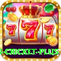 fastest ball in cricket Game Champion v2.0.4