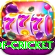 god of cricket Turbo v2.6.9