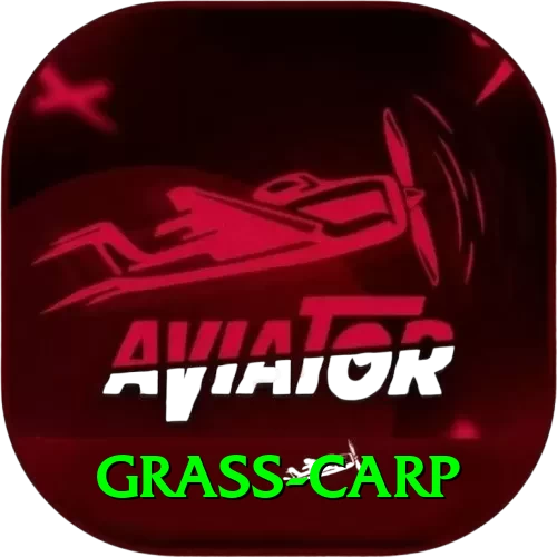 grass carp Premium Edition v4.4.9 - 2