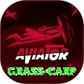 grass carp Premium Edition v4.4.9