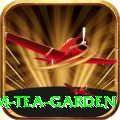 hile ilam tea garden Master Pro v5.7.3