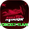 hong kong cricket team Pro Max v1.0.9