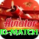 india new zealand match Master Pro v5.1.9
