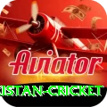 india pakistan cricket Gold Edition v1.7.4