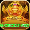 india pakistan cricket - Super v4.9.4