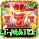 international cricket match Master v1.4.2