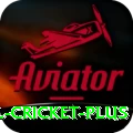 international cricket Gaming Plus v5.5.3