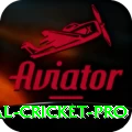 international cricket Prime v2.1.2