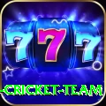 ireland cricket team Ultimate Pro v2.4.8