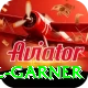 joel garner Apps (Tools & Injectors) Elite v5.3.9