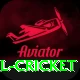 most runs in international cricket Games (Casino & Earning) Ultimate v1.3.8