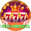 most test wickets VIP Edition v1.8.5