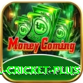 nepal cricket Casino Legend v2.0.0