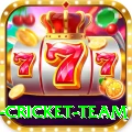 netherlands cricket team Pro Edition v1.9.2