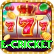one cricket Turbo v2.0.9