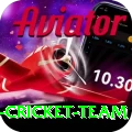 pakistan women cricket team Premium Edition v1.5.4