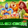 risk free bet cricket Games (Casino & Earning) Max v3.2.3