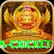 sa cricket
