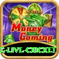 smartcric live cricket Plus v5.8.3