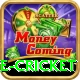smartcric live cricket Plus v5.8.3