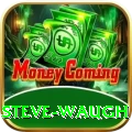 steve waugh Apps (Tools & Injectors) Gold v3.5.1