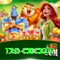 t20 cricket Max v1.6.6