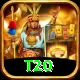 t20 Elite Pro v4.3.0