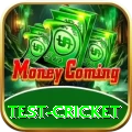 test cricket Pro1 v5.5.4