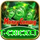 test cricket Pro1 v5.5.4