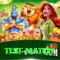 test match Turbo Pro v3.0.4