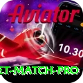 to day cricket match Elite Latest v4.5.7